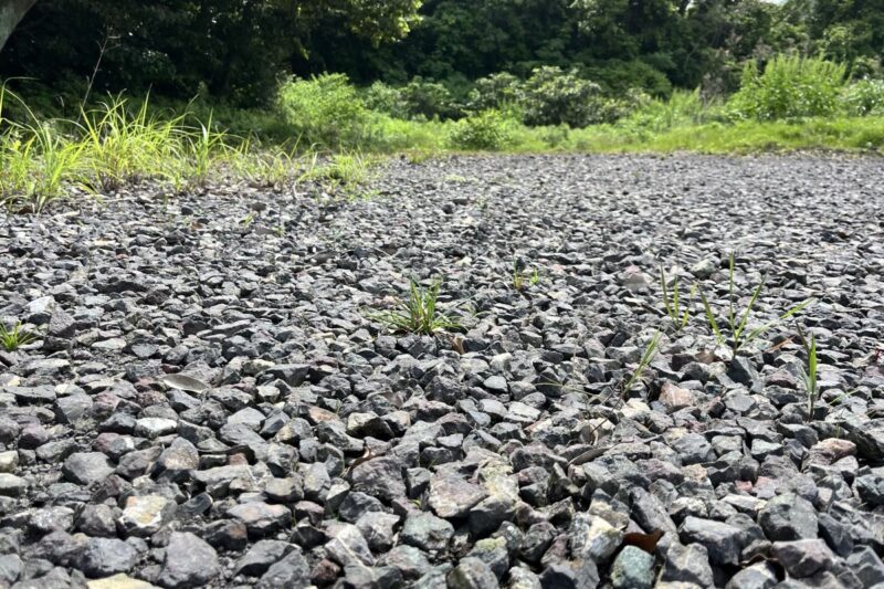 熔岩、石、砂、土　建築