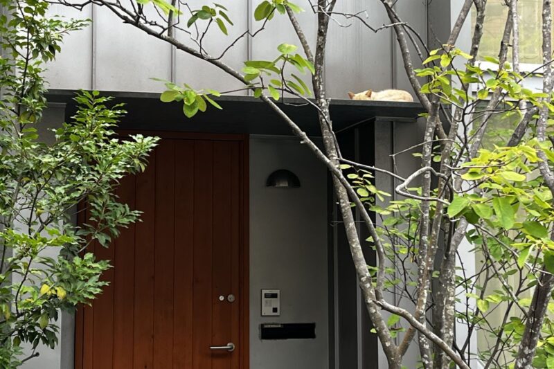 スチール庇とねこの居場所